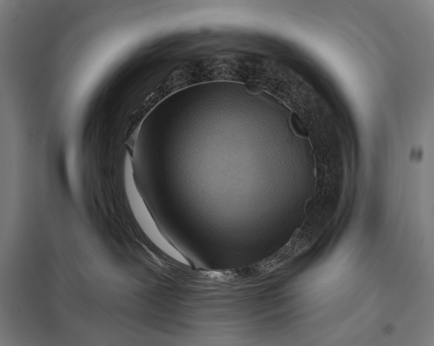 X0000097830239200803281208