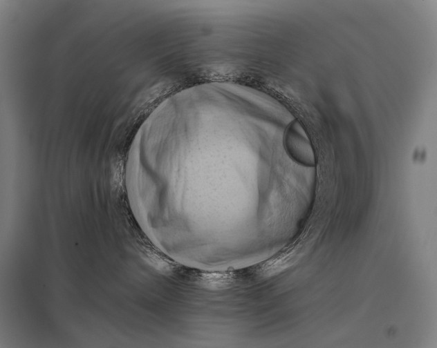 X0000097830240200803281208