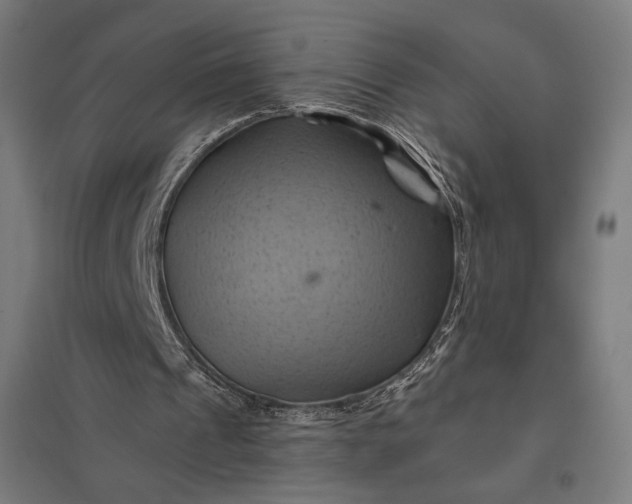 X0000097830241200803281207