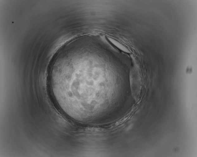 X0000097830242200803281207