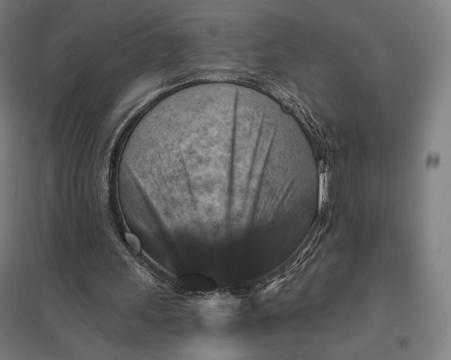 X0000097830243200803281207