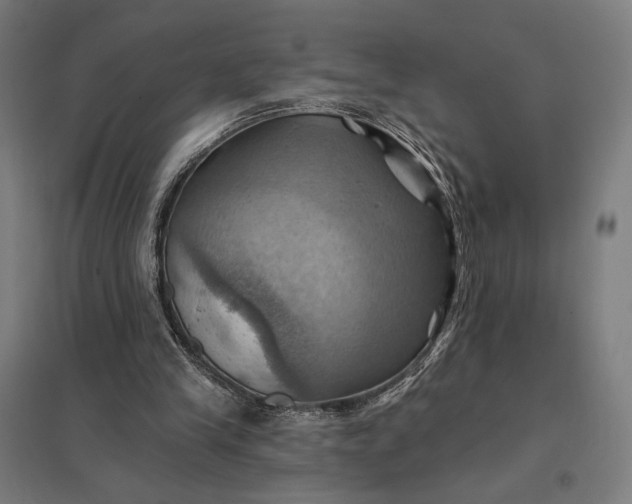 X0000097830245200803281207