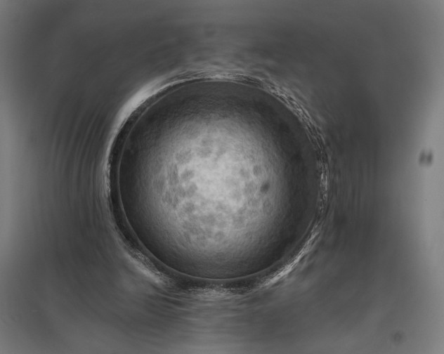 X0000097830246200803281207