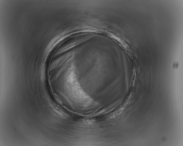 X0000097830247200803281207