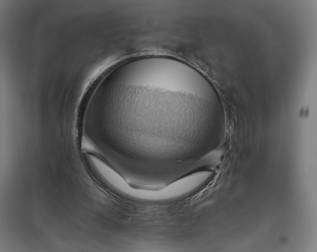 X0000097830248200803281207