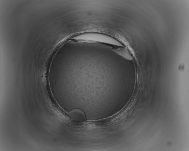 X0000097830249200803281207