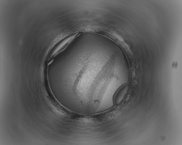 X0000097830250200803281207