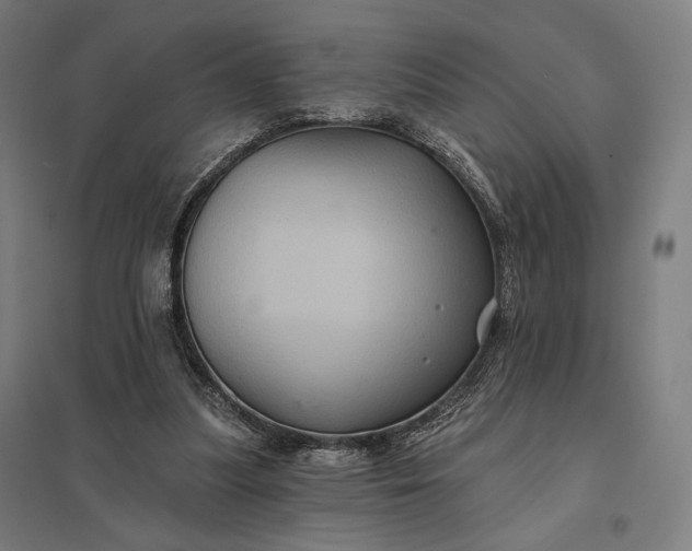 X0000097830251200803281207