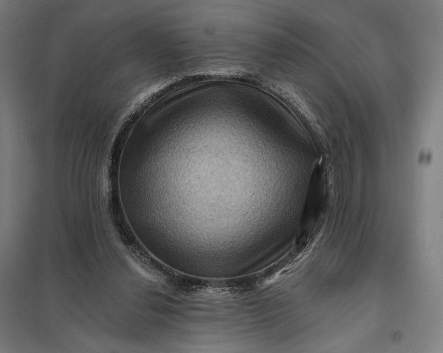 X0000097830252200803281207