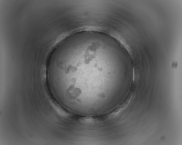 X0000097830253200803281207