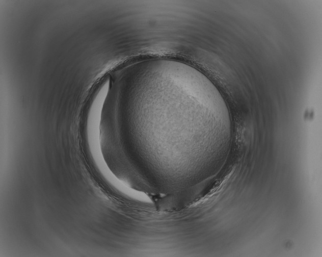 X0000097830256200803281207