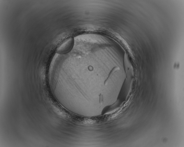 X0000097830257200803281207