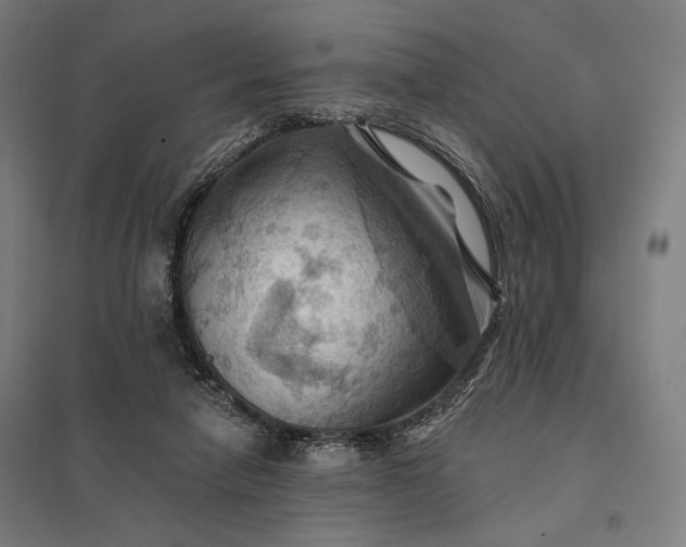 X0000097830258200803281207