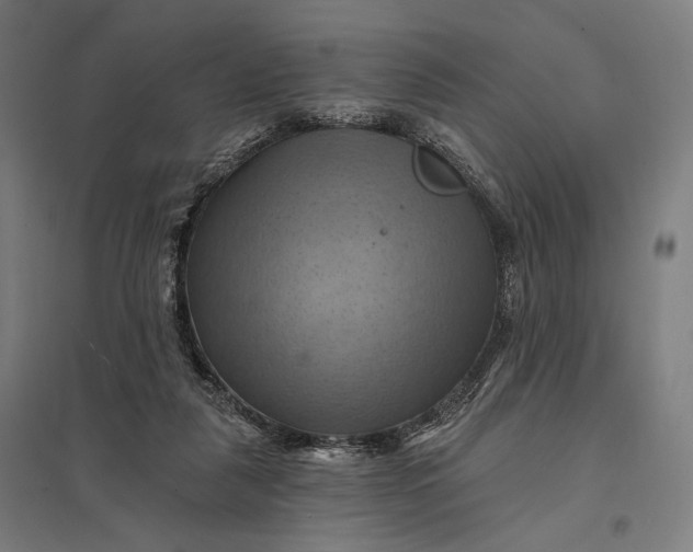 X0000097830259200803281207