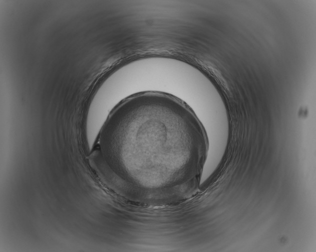 X0000097830260200803281207