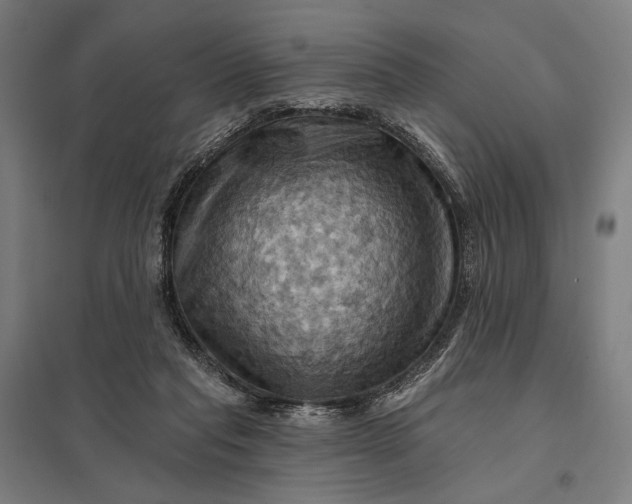 X0000097830261200803281207