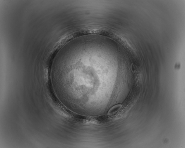 X0000097830262200803281207