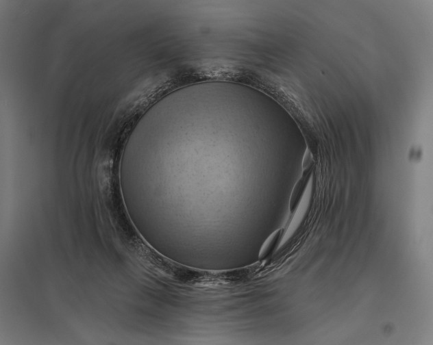 X0000097830263200803281207