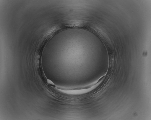 X0000097830264200803281207