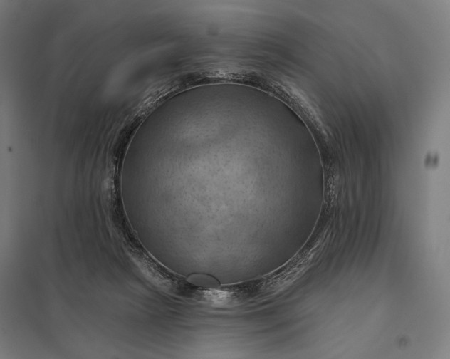 X0000097830265200803281207