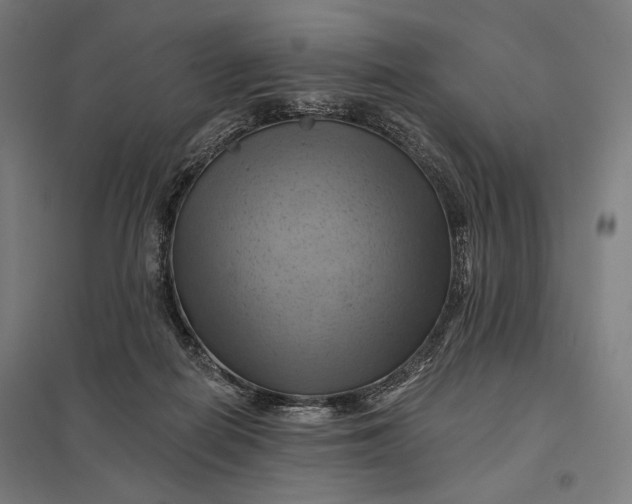 X0000097830266200803281207