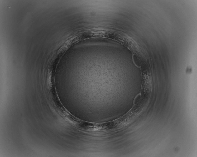 X0000097830267200803281207