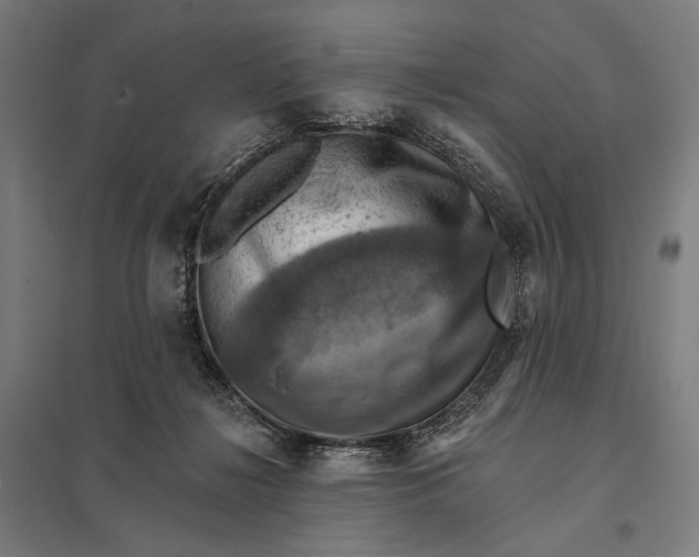 X0000097830268200803281207