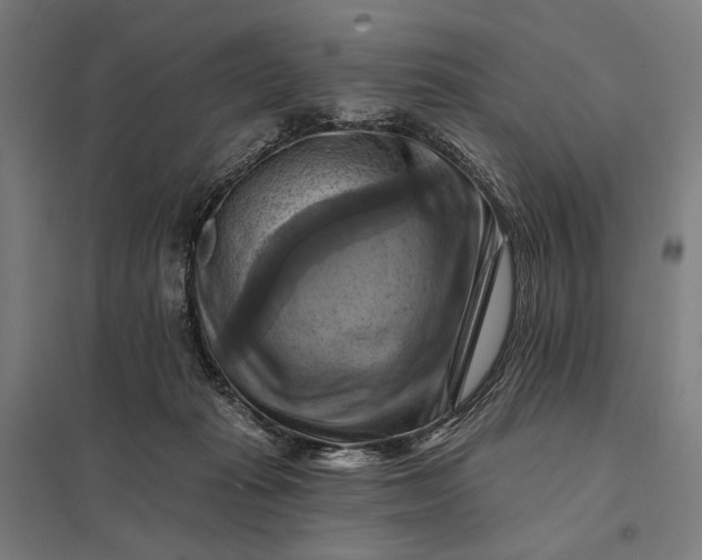 X0000097830269200803281207