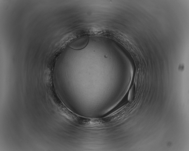 X0000097830270200803281207