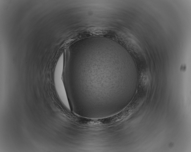 X0000097830271200803281207