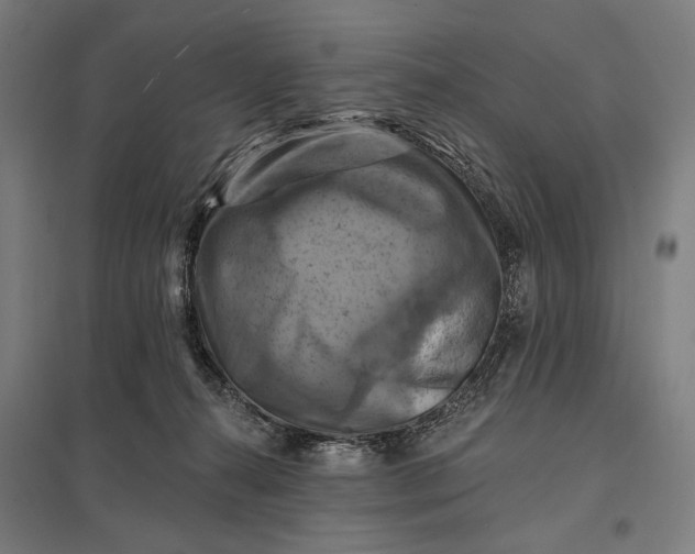 X0000097830272200803281207