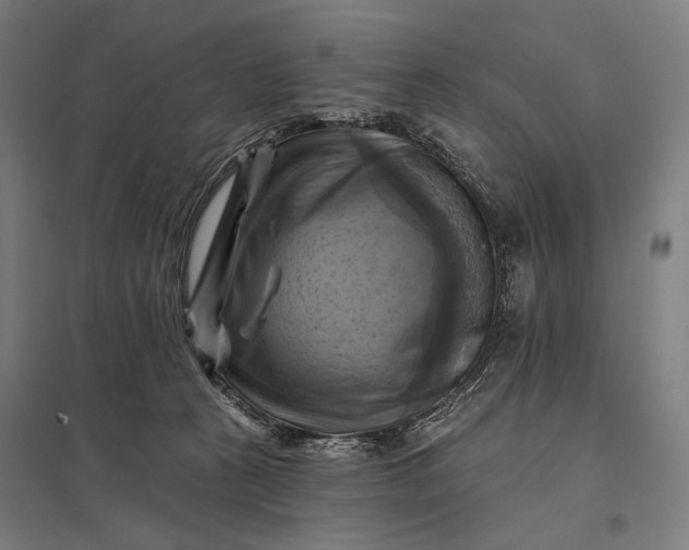 X0000097830273200803281207