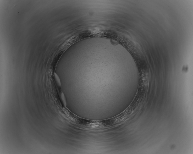 X0000097830275200803281207