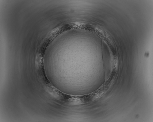 X0000097830276200803281207