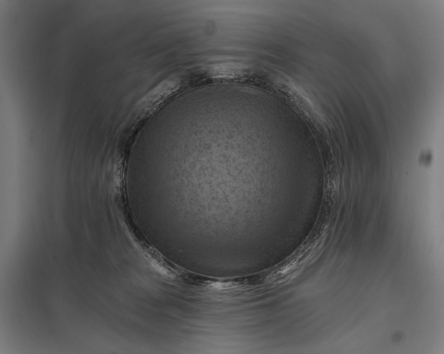 X0000097830277200803281207