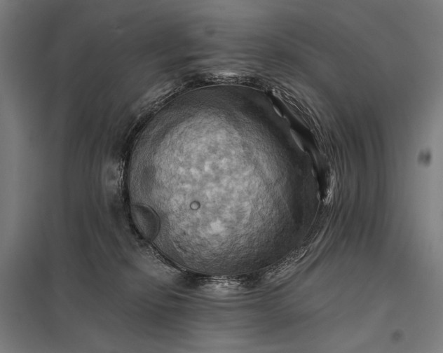 X0000097830278200803281207