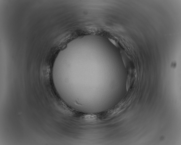 X0000097830279200803281207