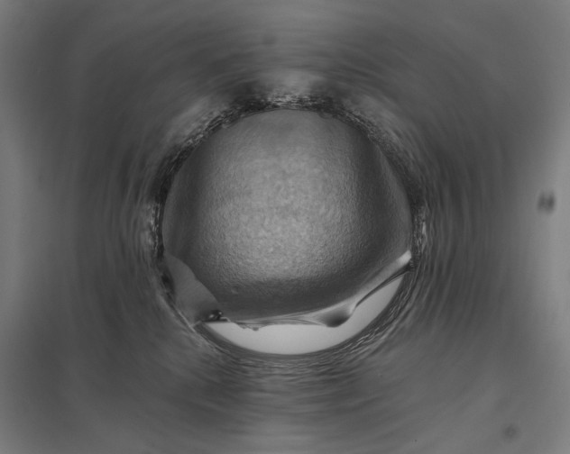 X0000097830280200803281207