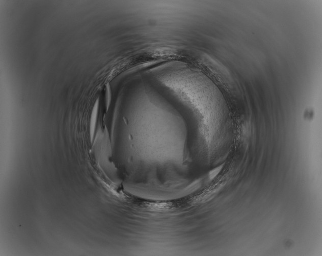 X0000097830281200803281207