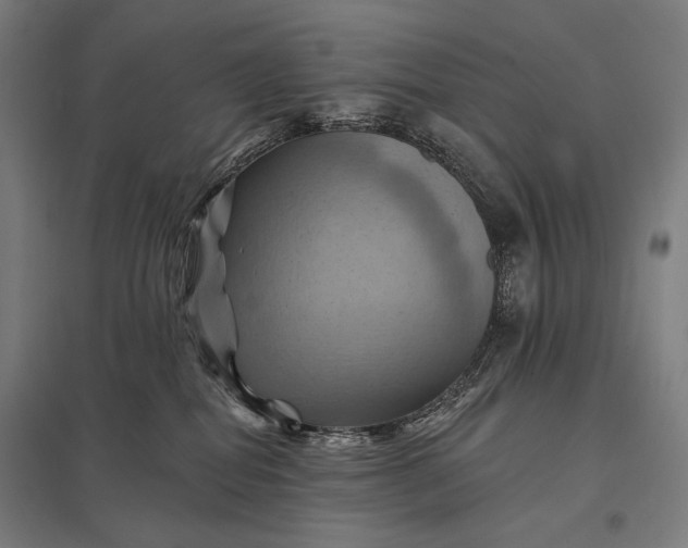 X0000097830282200803281207