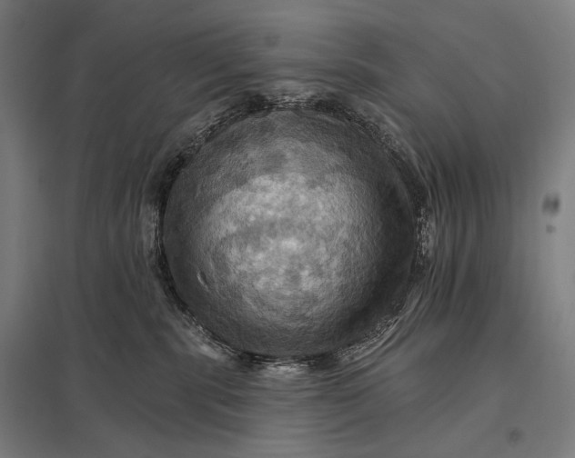 X0000097830283200803281208