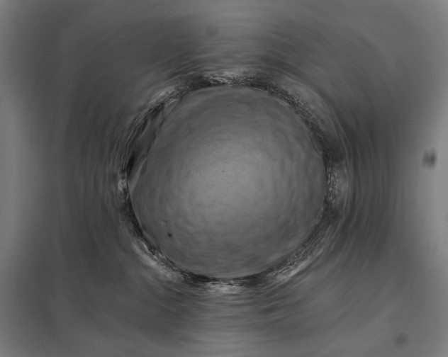 X0000097830284200803281208