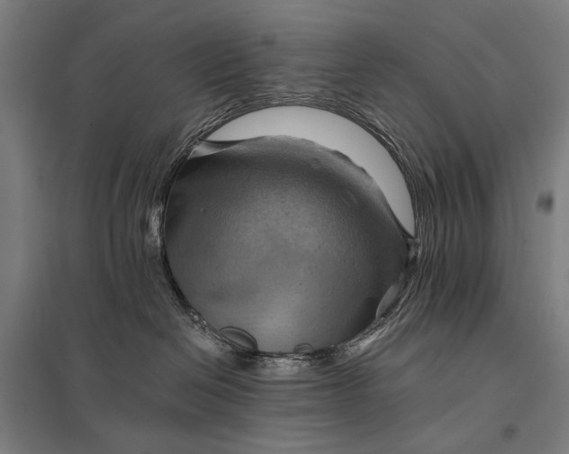 X0000097830286200803281208