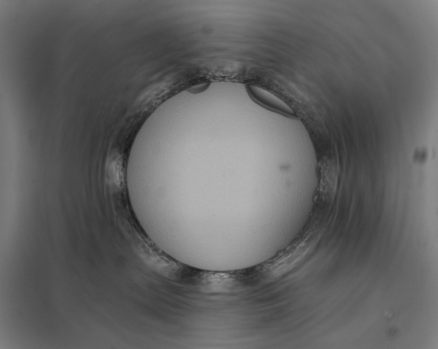 X0000097830287200803281208