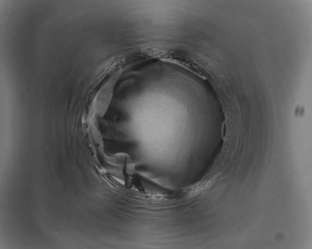 X0000097830288200803281208