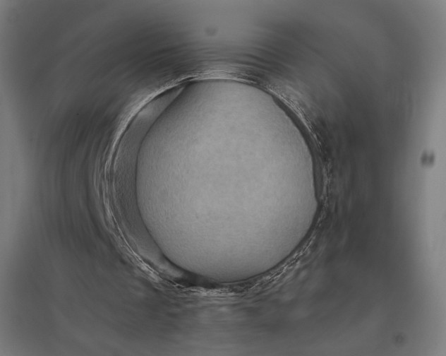 X0000097830289200803281207