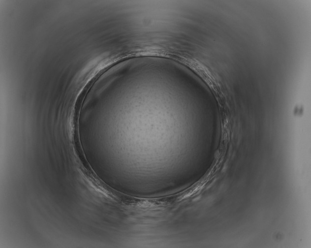 X0000097830290200803281207