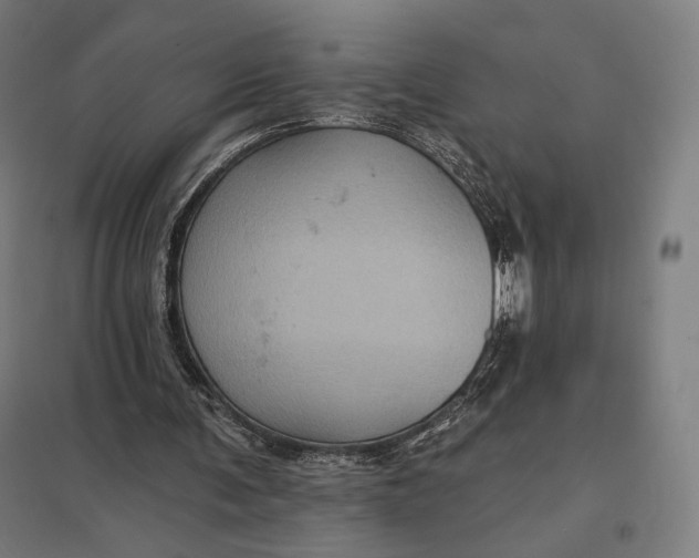 X0000097830291200803281207