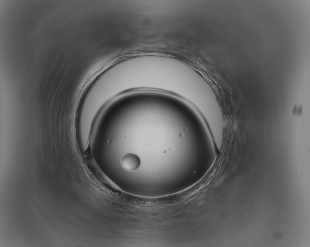 X0000097830293200803281207