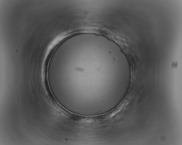 X0000097830294200803281207